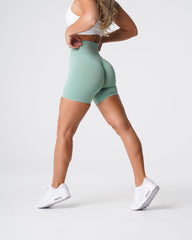 Sage Green Pro Seamless Shorts Sage Green | NVGTN Online Shop