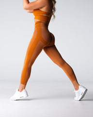 Terracotta Performance Seamless Leggings Terracotta | NVGTN Online