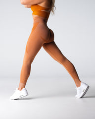 Terracotta Contour Seamless Leggings Terracotta | NVGTN New